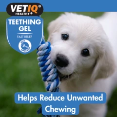 thumbnail-VETIQ Puppy Teething Gel 50g