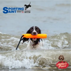 thumbnail-Sporting Saint Water Dummy