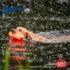thumbnail-Sporting Saint Water Dummy