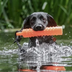 thumbnail-Sporting Saint Water Dummy