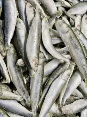 thumbnail-Dougie's Sprats 1kg