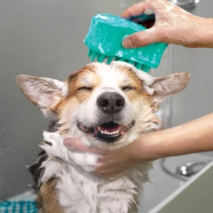 thumbnail-KONG ZoomGroom Bubbles Large