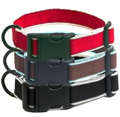 Long Paws Secret Agent Collar